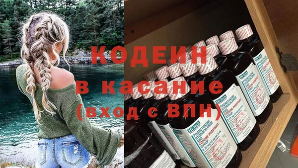 хмурый Алзамай