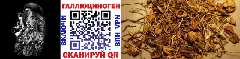 Галлюциногенные грибы ЛСД Адыгейск